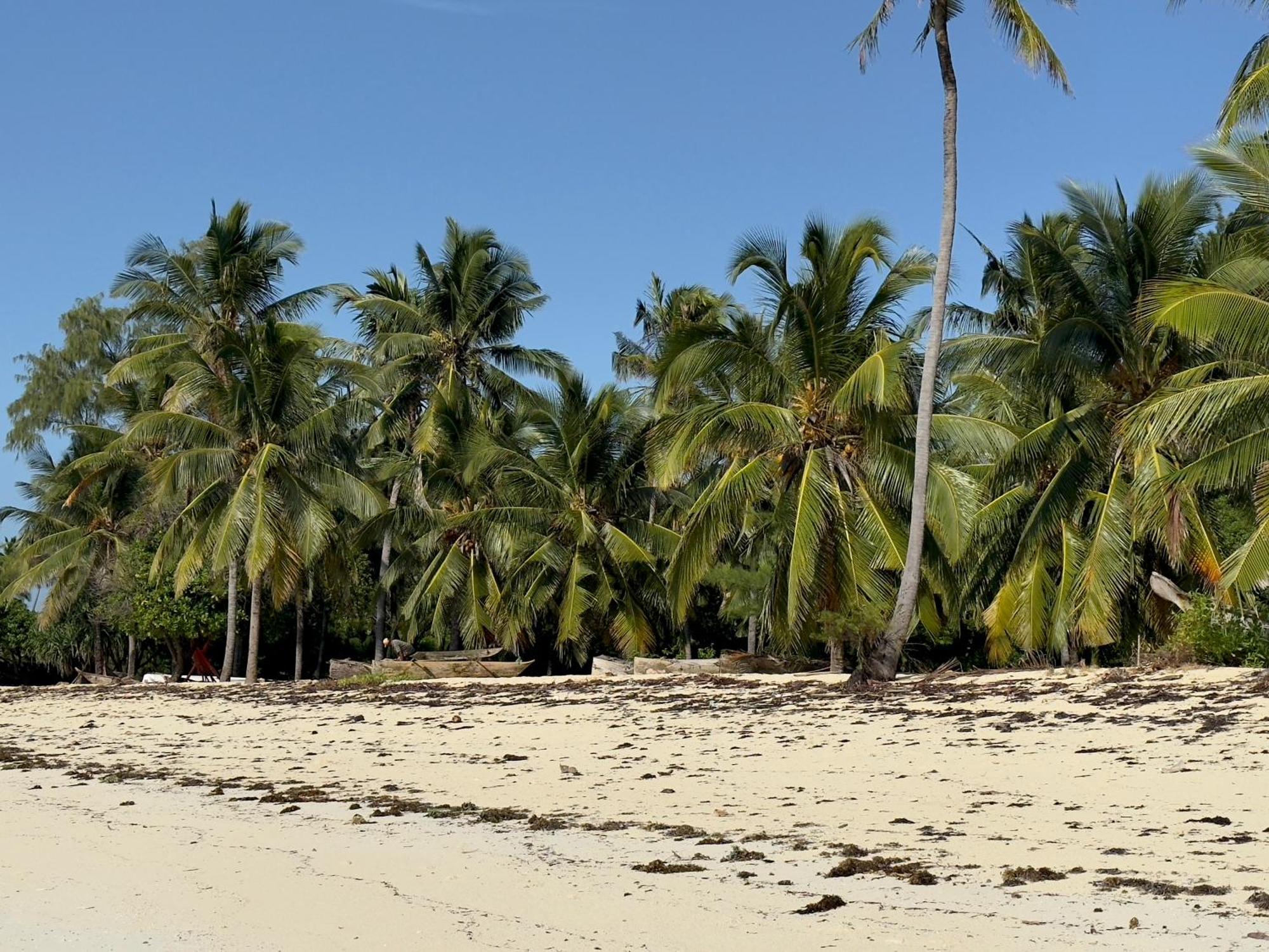 Juana Ocean Villas Makunduchi Bagian luar foto